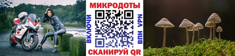 OMG вход  Берёзовский  Галлюциногенные грибы мухоморы 